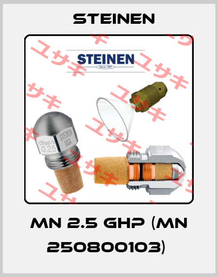 MN 2.5 GHP (MN 250800103)  Steinen
