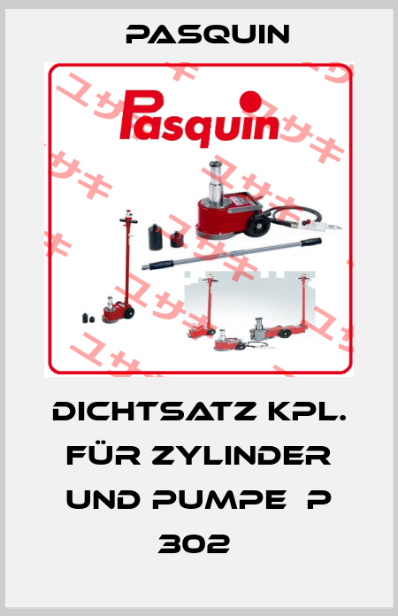 Dichtsatz kpl. für Zylinder und Pumpe  P 302  Pasquin
