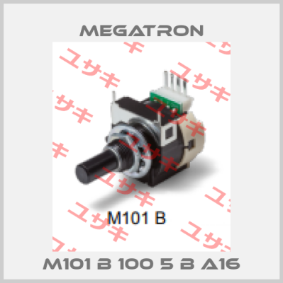 M101 B 100 5 B A16 Megatron
