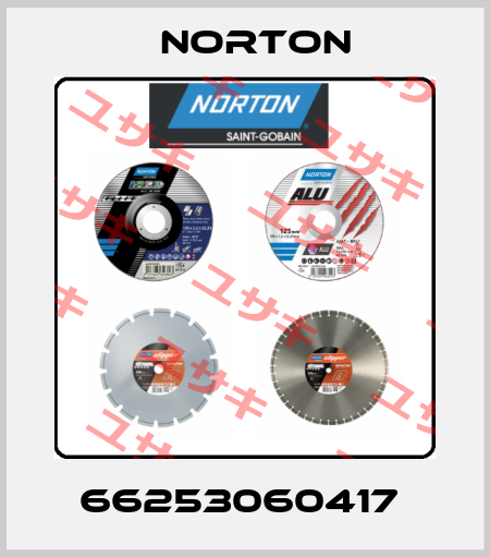 66253060417  Norton