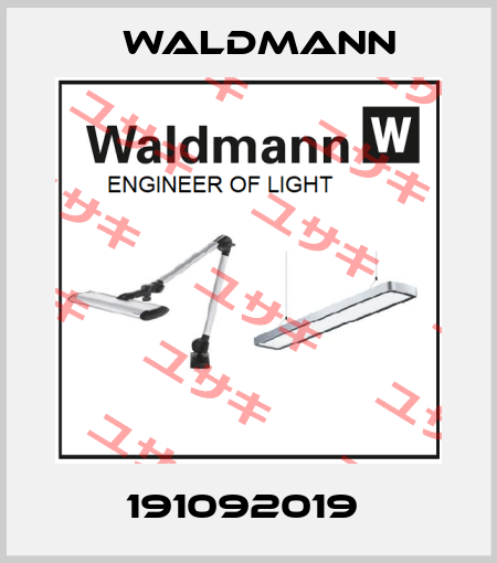 191092019  Waldmann