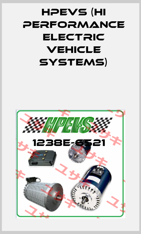1238E-6521  HPEVS (Hi Performance Electric Vehicle Systems)
