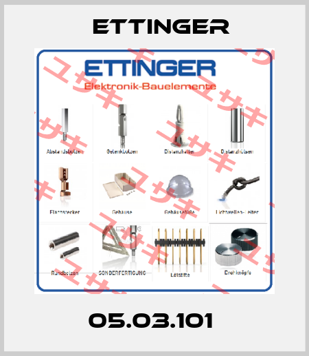 05.03.101  Ettinger
