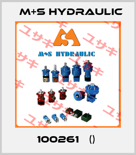 100261   ()  M-S Hydraulic