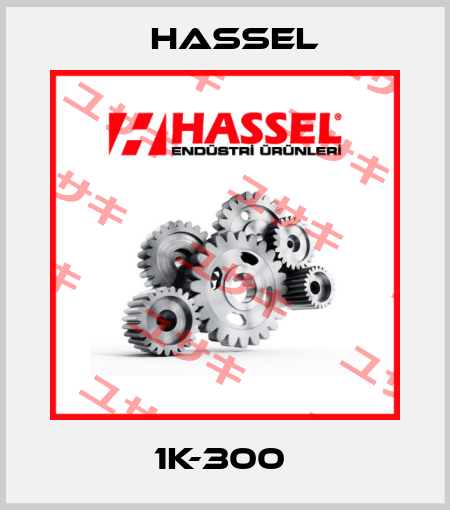 1K-300  Hassel