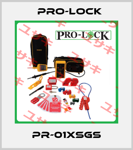 PR-01XSGS Pro-lock
