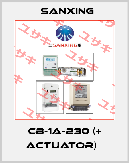 CB-1A-230 (+ Actuator)   Sanxing