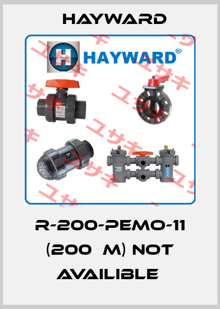 R-200-PEMO-11 (200µm) not availible  HAYWARD