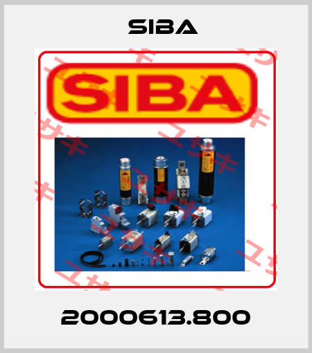 2000613.800 Siba