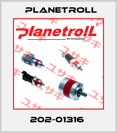 202-01316  Planetroll