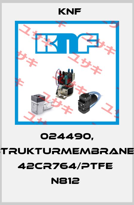 024490, STRUKTURMEMBRANE-1   42CR764/PTFE  N812  KNF