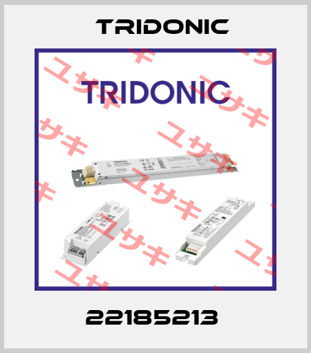 22185213  Tridonic