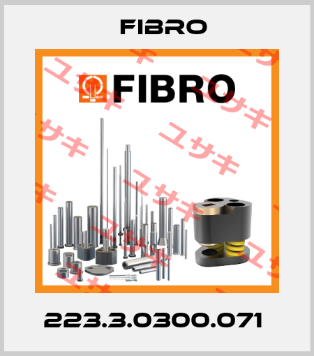 223.3.0300.071  Fibro