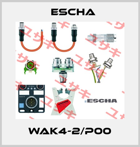 WAK4-2/P00 Escha