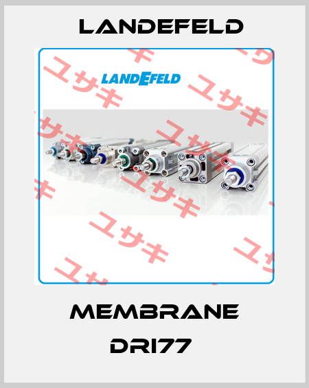 MEMBRANE DRI77  Landefeld