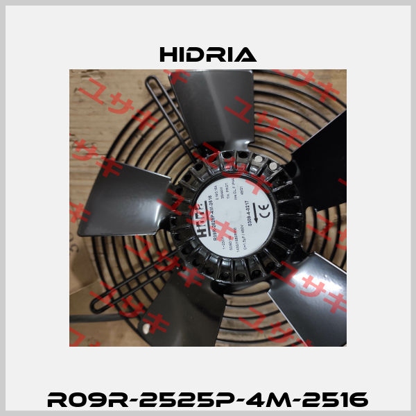 R09R-2525P-4M-2516 Hidria