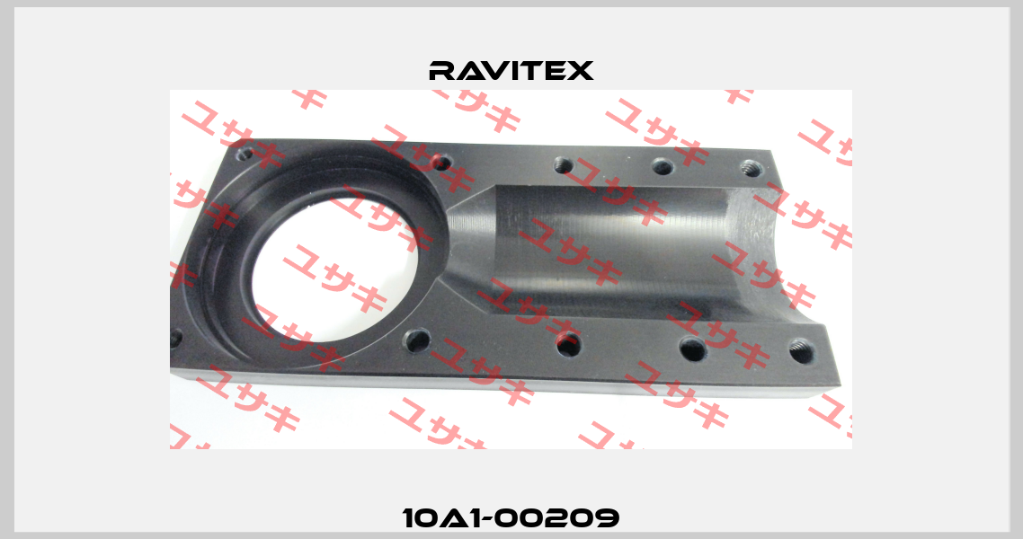 10A1-00209 Ravitex