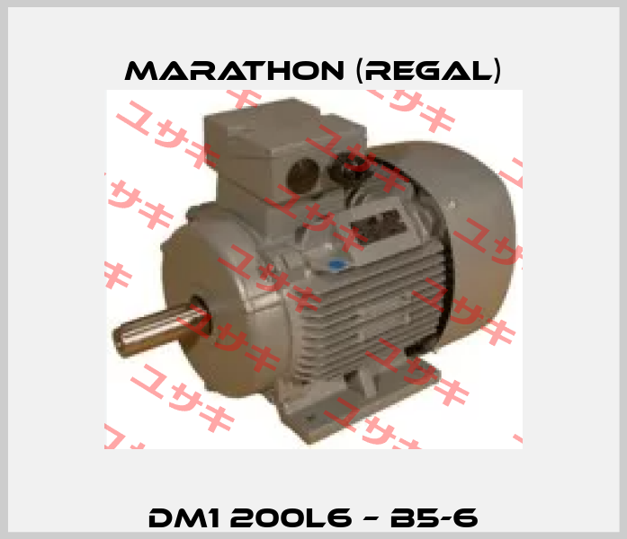 DM1 200L6 – B5-6 Marathon (Regal)