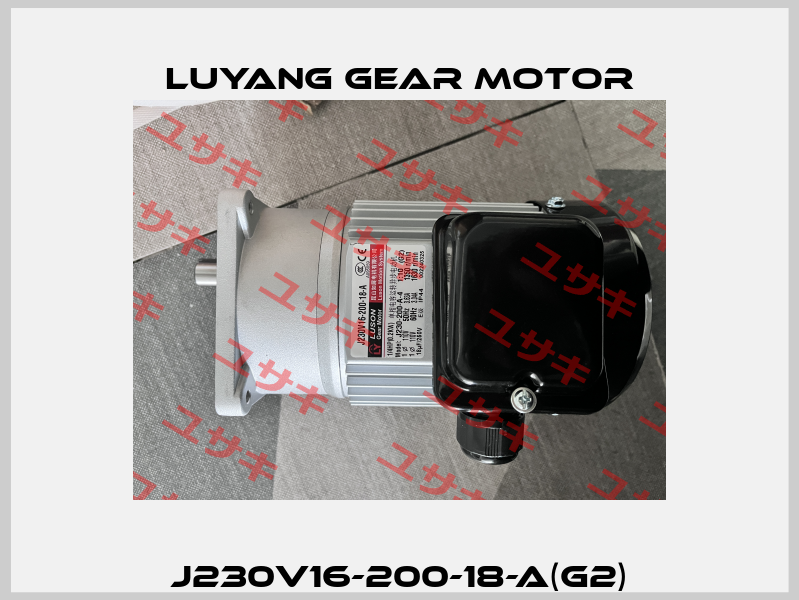 J230V16-200-18-A(G2) Luyang Gear Motor