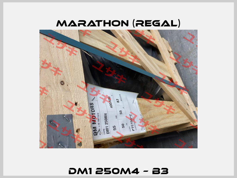 DM1 250M4 – B3 Marathon (Regal)