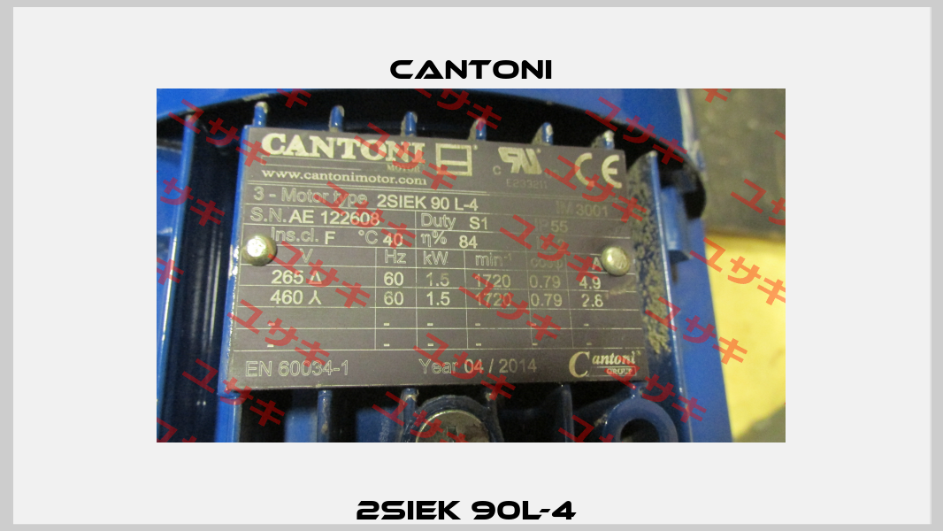 2SIEK 90L-4  Cantoni