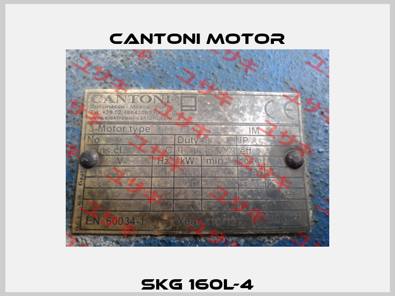 SKg 160L-4 Cantoni Motor