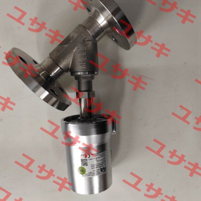DL2D3122032/FL End Armaturen