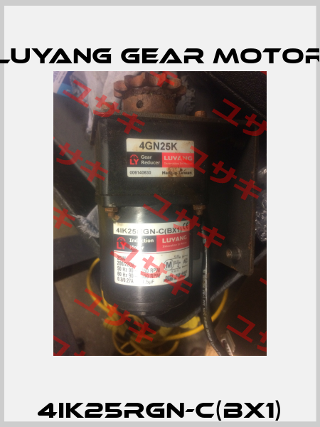 4IK25RGN-C(BX1) Luyang Gear Motor