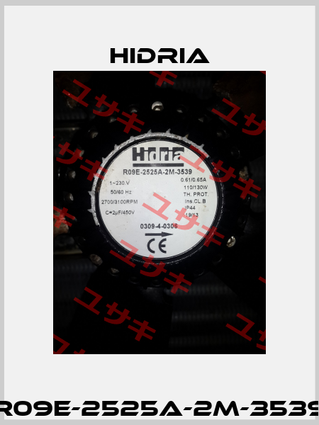 R09E-2525A-2M-3539 Hidria