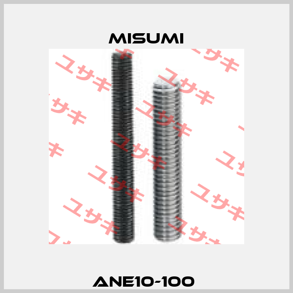 ANE10-100  Misumi