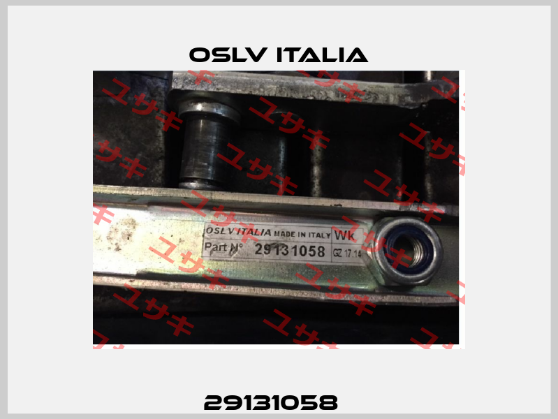 29131058   OSLV Italia
