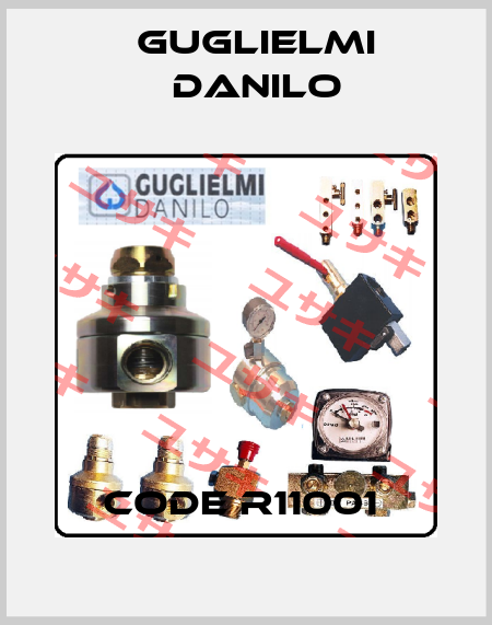 Code R11001  Guglielmi Danilo