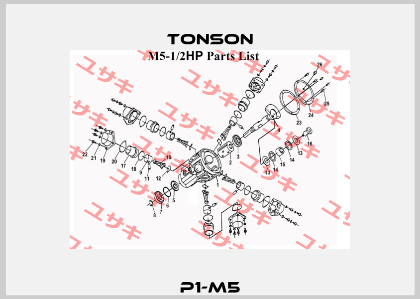 P1-M5 Tonson