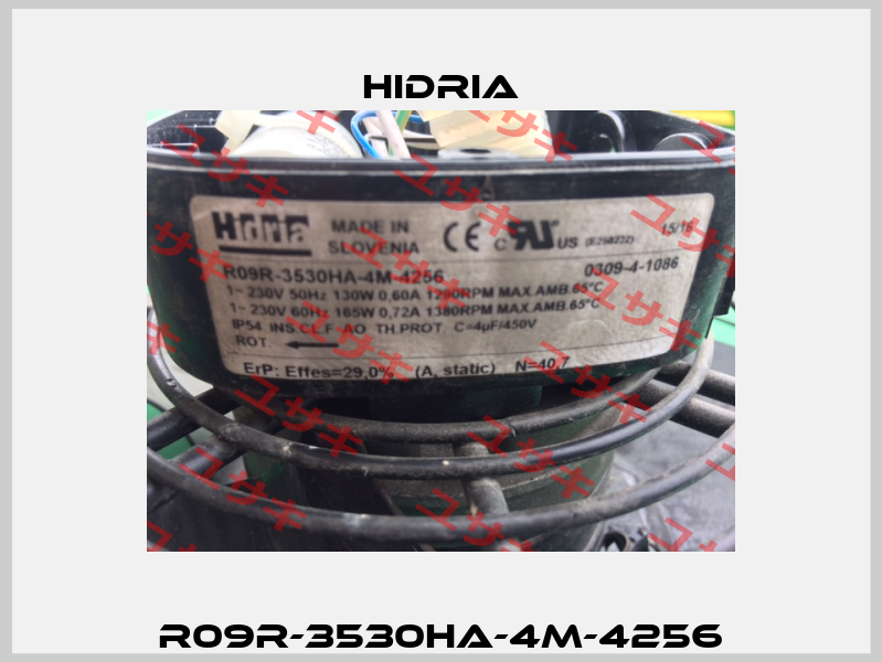 R09R-3530HA-4M-4256 Hidria