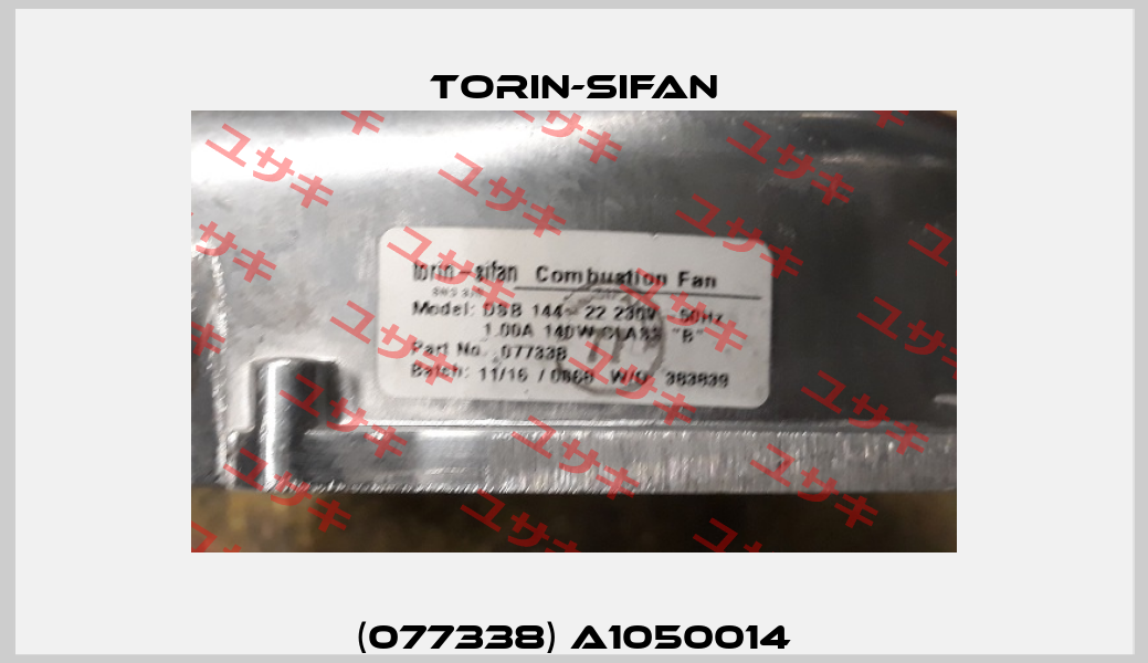 (077338) A1050014 Torin-Sifan