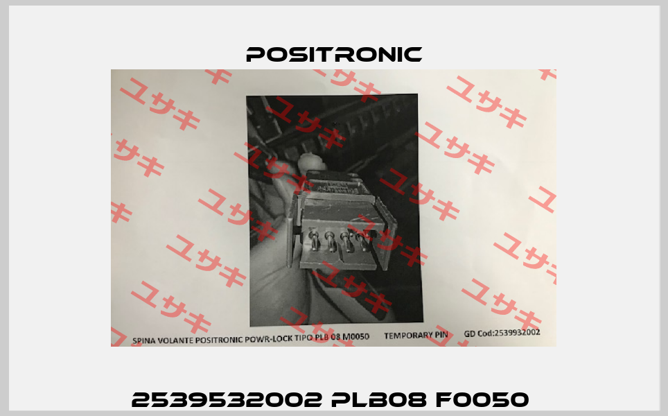 2539532002 PLB08 F0050  Positronic
