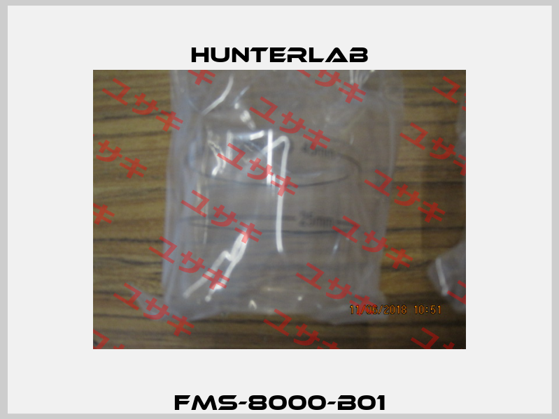 FMS-8000-B01 HUNTERLAB