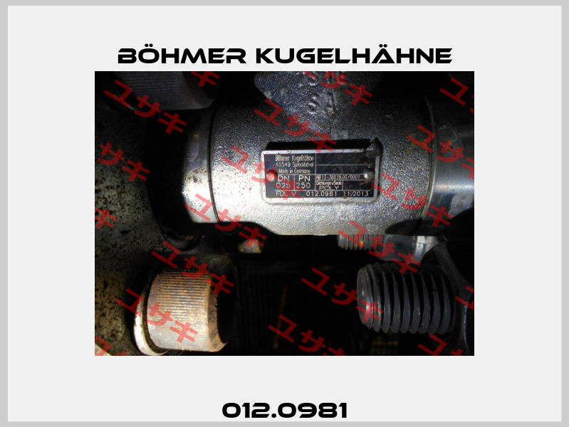 012.0981 Böhmer Kugelhähne