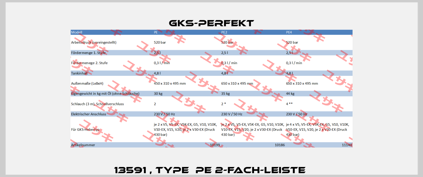 13591 , type  PE 2-fach-Leiste  GKS-Perfekt