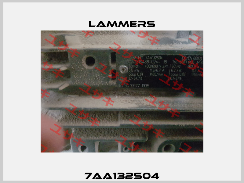 7AA132S04 Lammers
