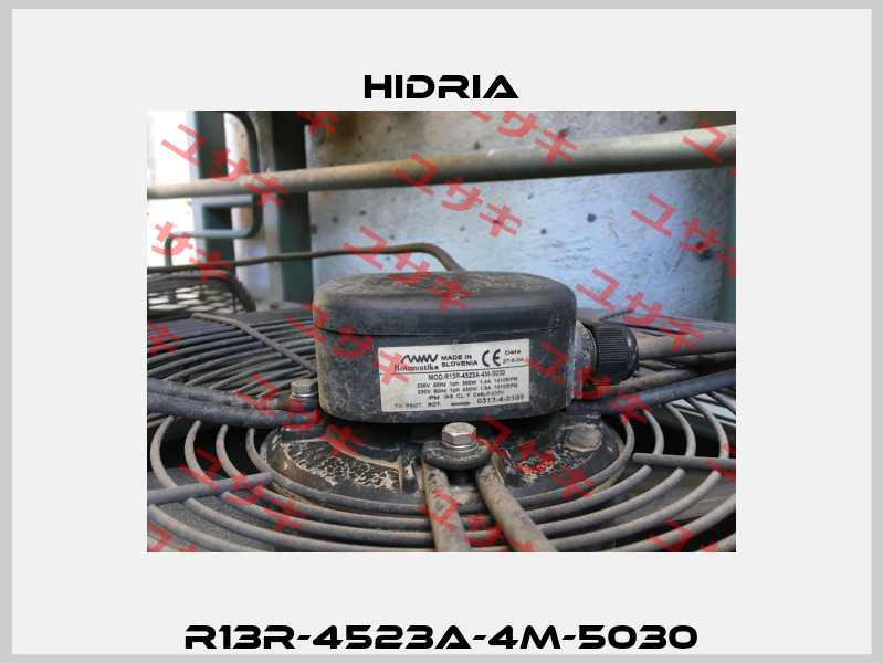 R13R-4523A-4M-5030 Hidria