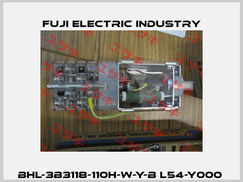 BHL-3B3118-110H-W-Y-B L54-Y000  Fuji Electric Industry