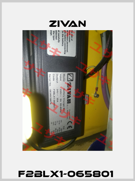 F2BLX1-065801  ZIVAN