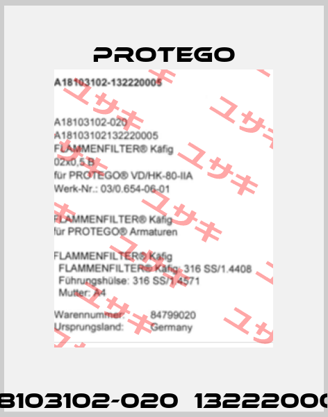 A18103102-020  132220005  Protego
