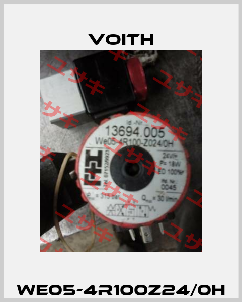 WE05-4R100Z24/0H Voith