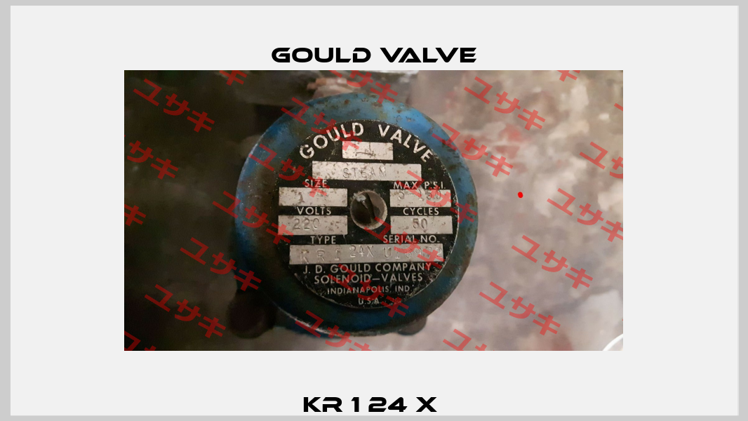 KR 1 24 X  Gould Valve