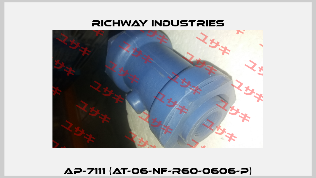 AP-7111 (AT-06-NF-R60-0606-P) Richway Industries