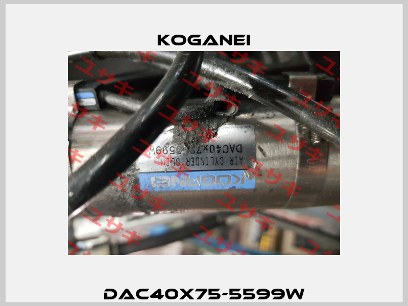 DAC40x75-5599W Koganei