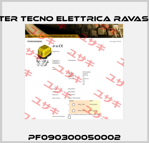 PF090300050002 Ter Tecno Elettrica Ravasi