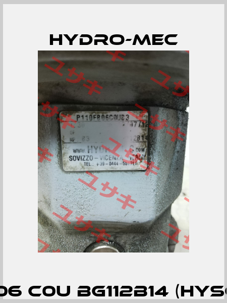P110 FB 06 C0U BG112B14 (HYSGP110FB) Hydro-Mec